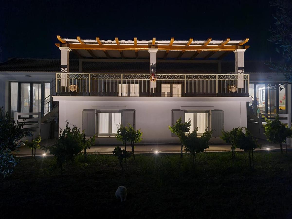 Apollonides Seafront Villa1 Aoede 里科索翁 外观 照片