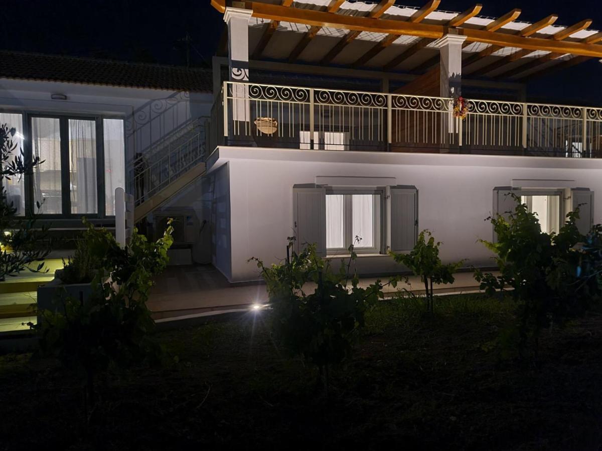 Apollonides Seafront Villa1 Aoede 里科索翁 外观 照片