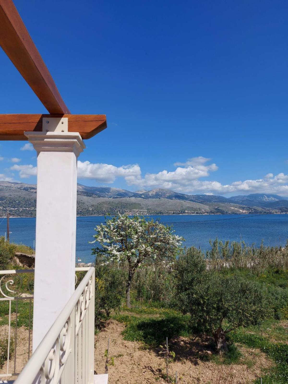 Apollonides Seafront Villa1 Aoede 里科索翁 外观 照片