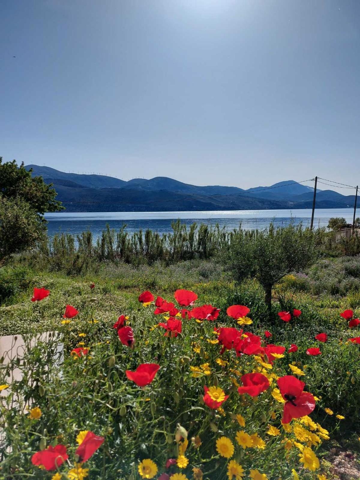 Apollonides Seafront Villa1 Aoede 里科索翁 外观 照片